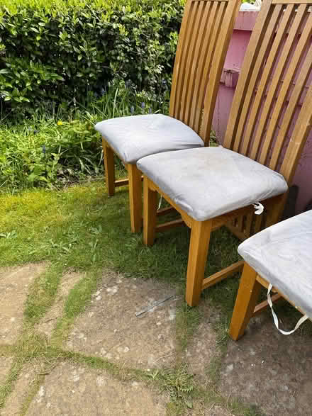 Photo of free 6 x solid oak dining chairs (Bromsgrove B61) #4