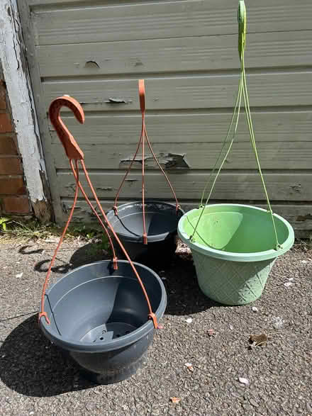 Photo of free Hanging baskets (Withdean BN1) #3