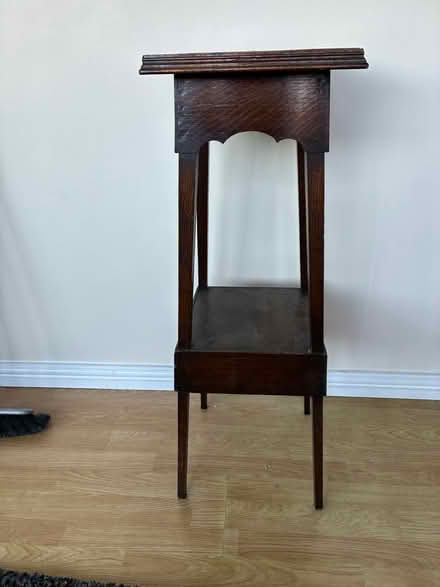 Photo of free Aspidistra stand (Hd34uw) #1