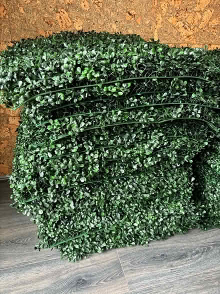 Photo of free Artificial green wall panels (bundle) (Berwick Grange SY1) #2