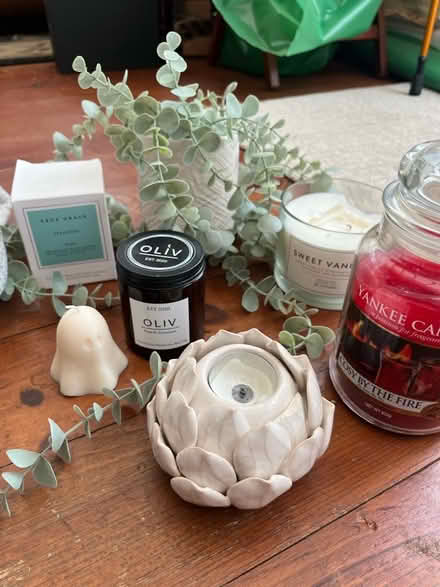 Photo of free Candles and fake plant (Stenson Fields CP DE24) #1