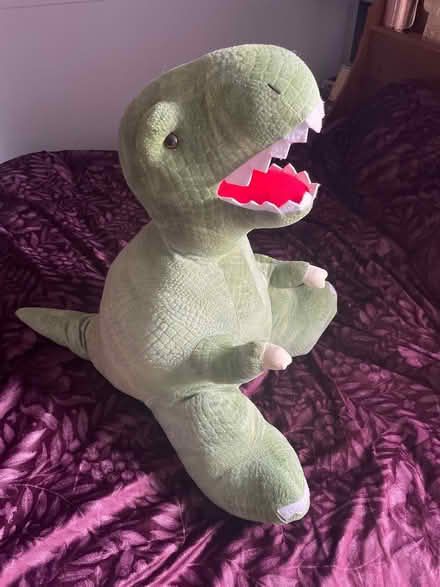 Photo of free Dinosaur soft toy (Sedgley DY3) #1