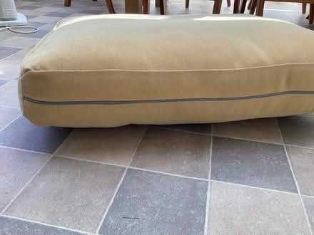 Photo of free 2 x Dacron cushions (Redhill BS40) #1