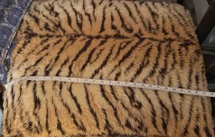 Photo of free Large cushion (Southsea PO5) #2