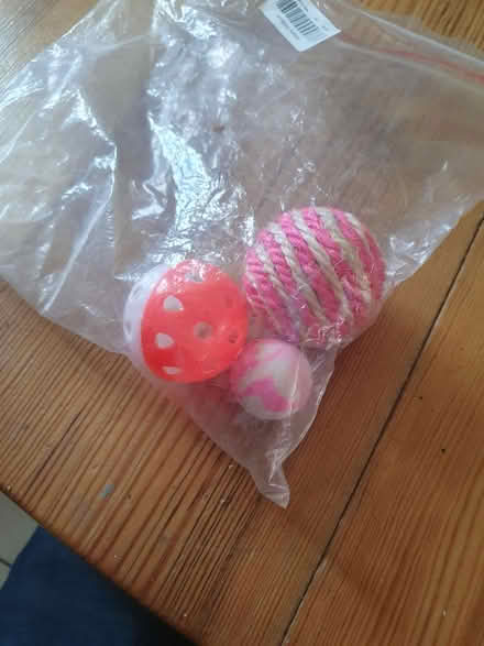 Photo of free Various Cat Bits (Eastergate PO20 3AA) #1