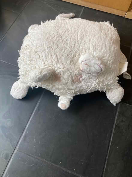 Photo of free Cat or small dog bed ikea (Loughton IG10) #1