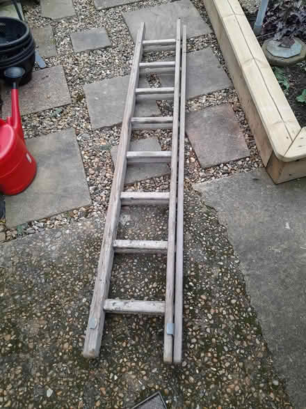 Photo of free Ladder (Golden Green) #1