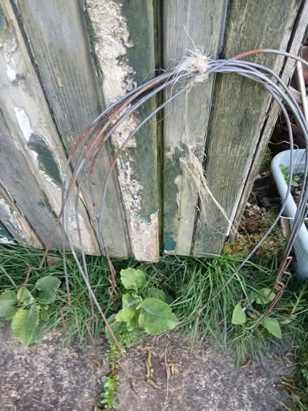 Photo of free Garden plant hoops (The Green SY7) #1