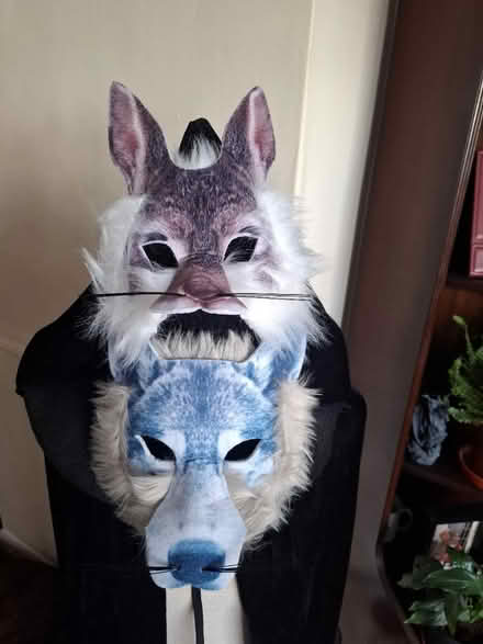 Photo of free Kids costume masks (Stanwell TW19) #1