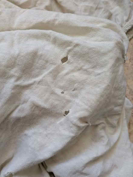 Photo of free single fitted sheet - fit for animal bedding, rags, etc (Risinghurst OX3) #3