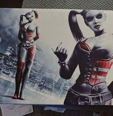 Photo of free Harley Quinn canvas (Blantyre G72) #3