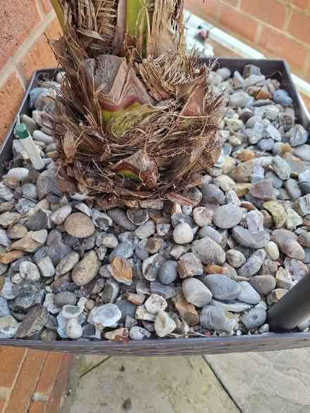 Photo of free X5 carrier bags of shingle (Manor Top S12) #1