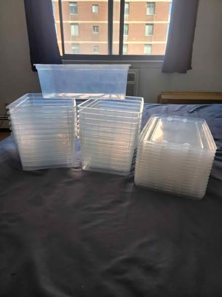 Photo of free 6-quart Plastic Storage Bins (16) (Flushing) #1