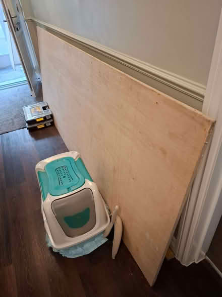 Photo of free Large piece of plywood (Langley ME17) #1