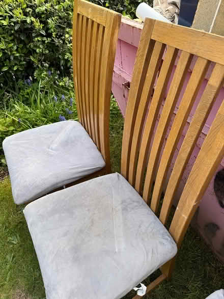 Photo of free 6 x solid oak dining chairs (Bromsgrove B61) #2