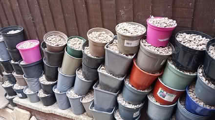 Photo of free Decorative light 20mm gravel used (Kingsbury B78) #3