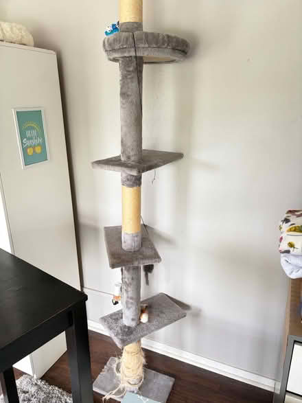 Photo of free Dresser, cat tree, tall table (Fruitvale) #4