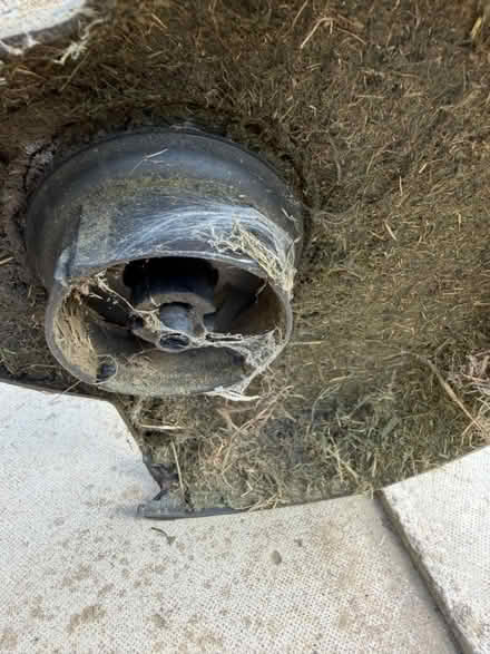 Photo of free 2 x Electric Grass Strimmers (Cambourne) #3