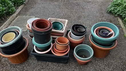 Photo of free Plastic plant pots (SG6 2) #3