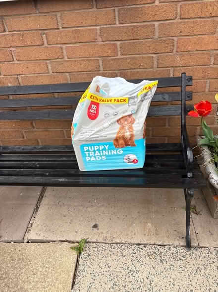 Photo of free Cat carrier and pads (moston M40,) #3