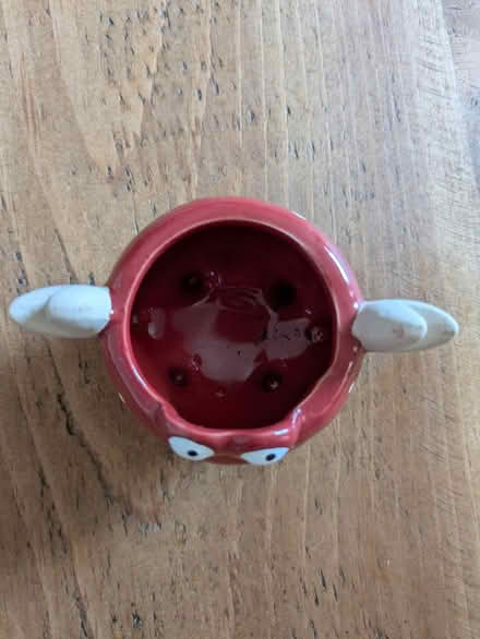 Photo of free Crab plant pot (small) (North Tonbridge, TN10) #2