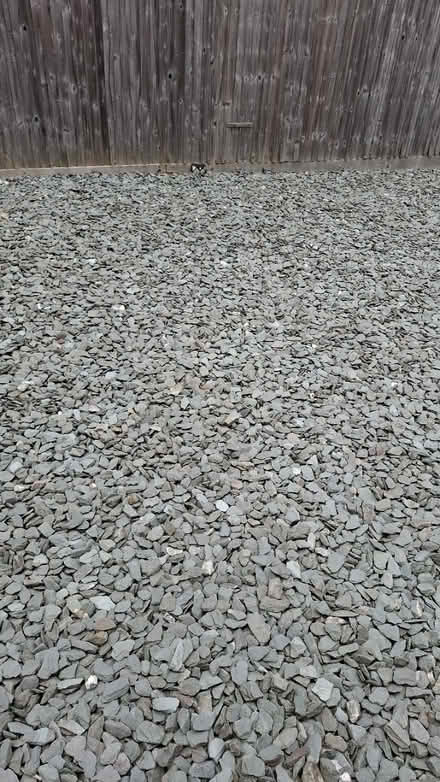 Photo of free Adjustable leaf rake (NR1 4LD) #2