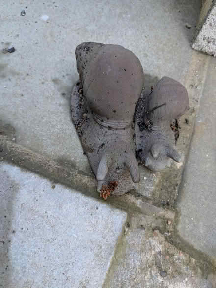 Photo of free Garden snail ornament (Addlestone KT15) #1