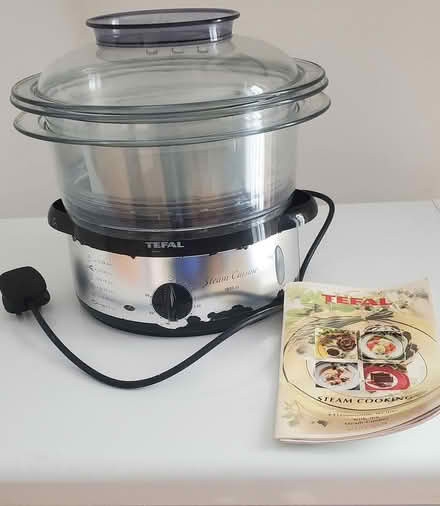 Photo of free Tefal Electric Steamer (Canvey Island) #1