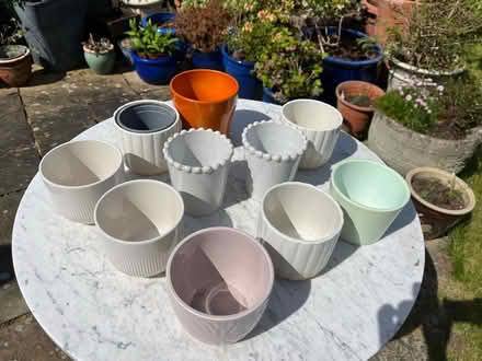 Photo of free Indoor Plant Pots (New Marston OX3) #2