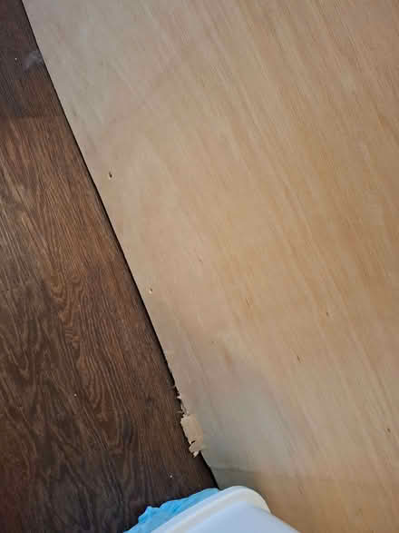 Photo of free Large piece of plywood (Langley ME17) #2