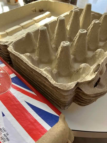 Photo of free Clean egg boxes (Belmont TN35) #1