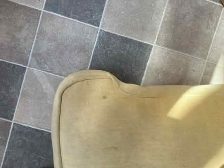 Photo of free 2 x Dacron cushions (Redhill BS40) #2