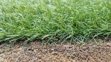 Photo of free Artificial grass/turf (Crystal Peaks S20) #2