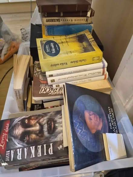 Photo of free A box of books in Polish. (Woking GU21) #1