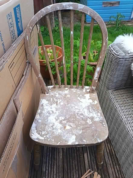 Photo of free Dining chair (New Alresford SO24) #1