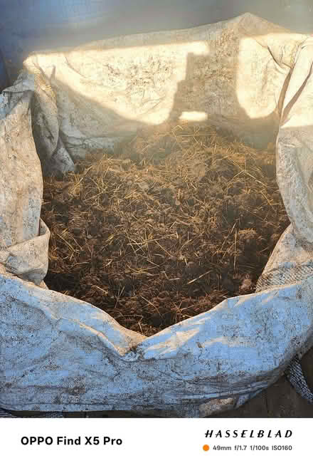Photo of free Goat manure (BD21) #1