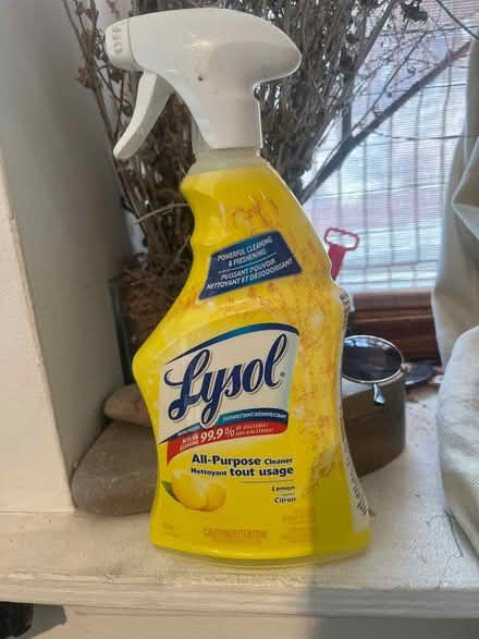 Photo of free lysol cleaner (bloor & ossington) #1