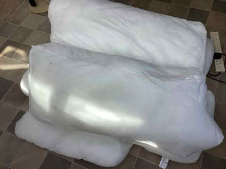 Photo of free 6 Dacron cushions for reuse (Redhill BS40) #1