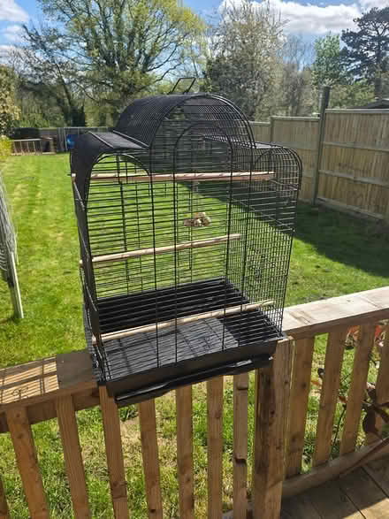 Photo of free Bird Cage (Rolvenden TN17) #1