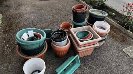 Photo of free Plastic plant pots (SG6 2) #1
