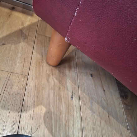 Photo of free Red tub chair (Hallam Fields, Ilkeston) #2