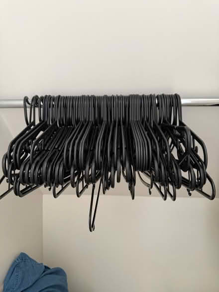 Photo of free Hangers (Chiswick W4) #2