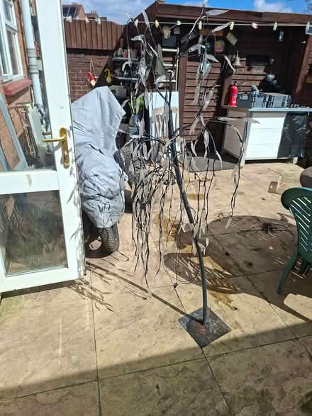 Photo of free Electric willow tree light (Kidderminster DY11) #1