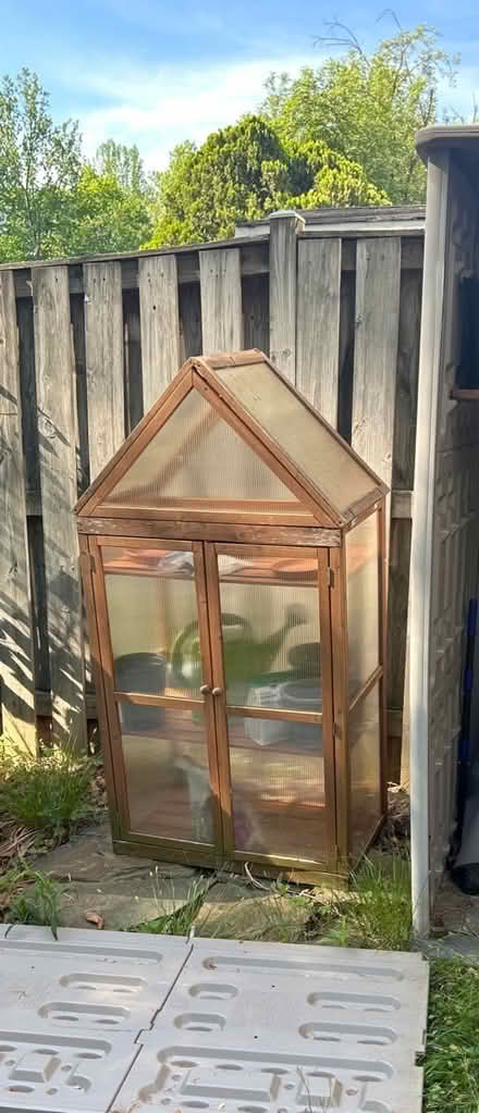 Photo of free Old tiny greenhouse (empty) (Newington Forest) #1