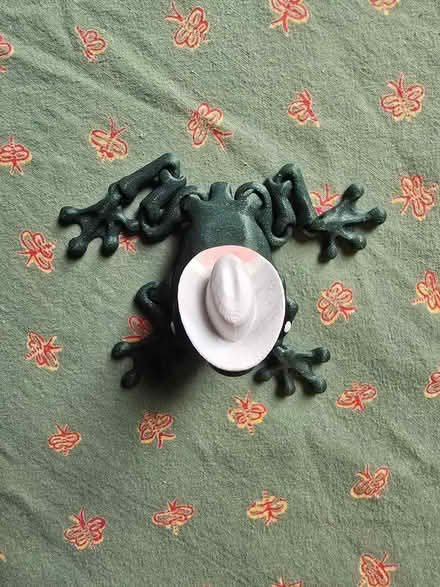 Photo of free Cowboy Frog Figure (West 7th) #4