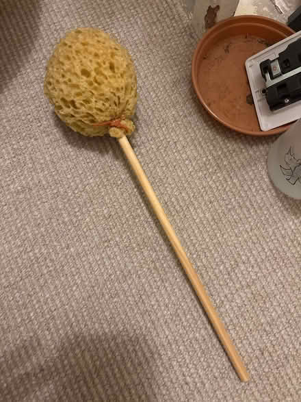 Photo of free Sponge on a stick (E9) #1