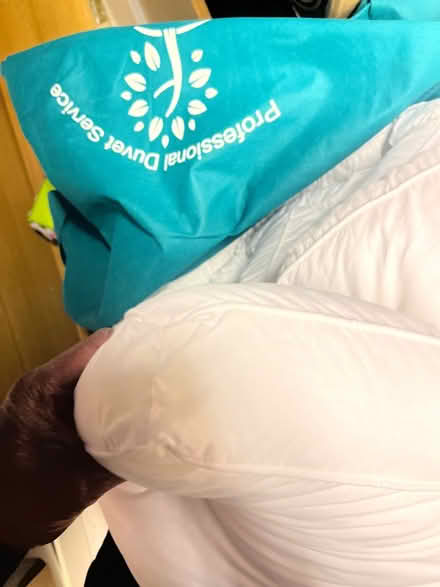 Photo of free Single bed mattress topper (Corsham SN13) #2