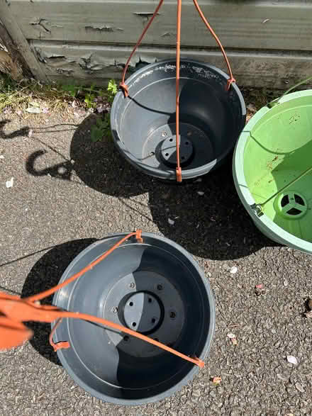 Photo of free Hanging baskets (Withdean BN1) #2