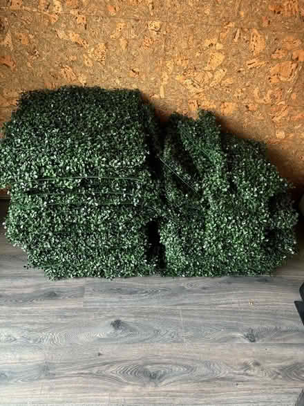 Photo of free Artificial green wall panels (bundle) (Berwick Grange SY1) #1