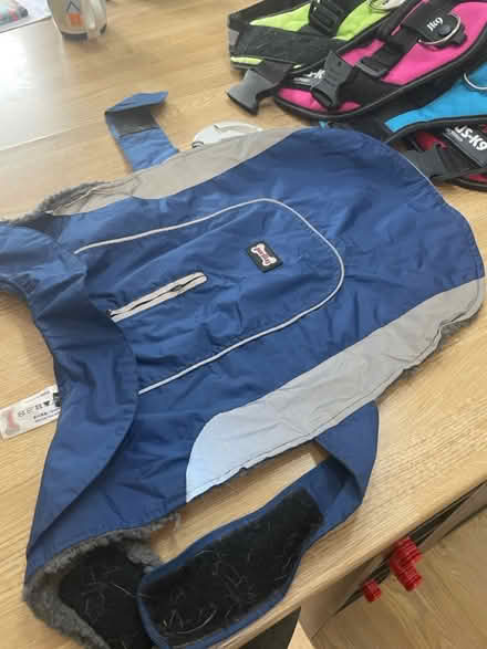 Photo of free Various dog accessories (Monkseaton NE25) #4